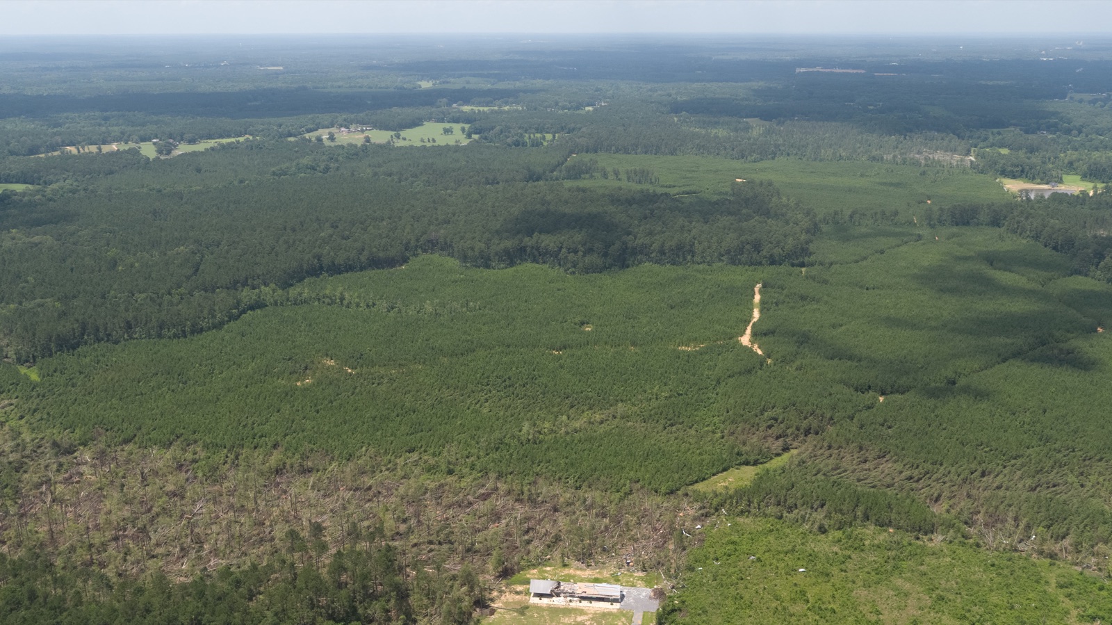 Top-down aerial of an active timber harvest — forwarder, staged log decks, and standing forest