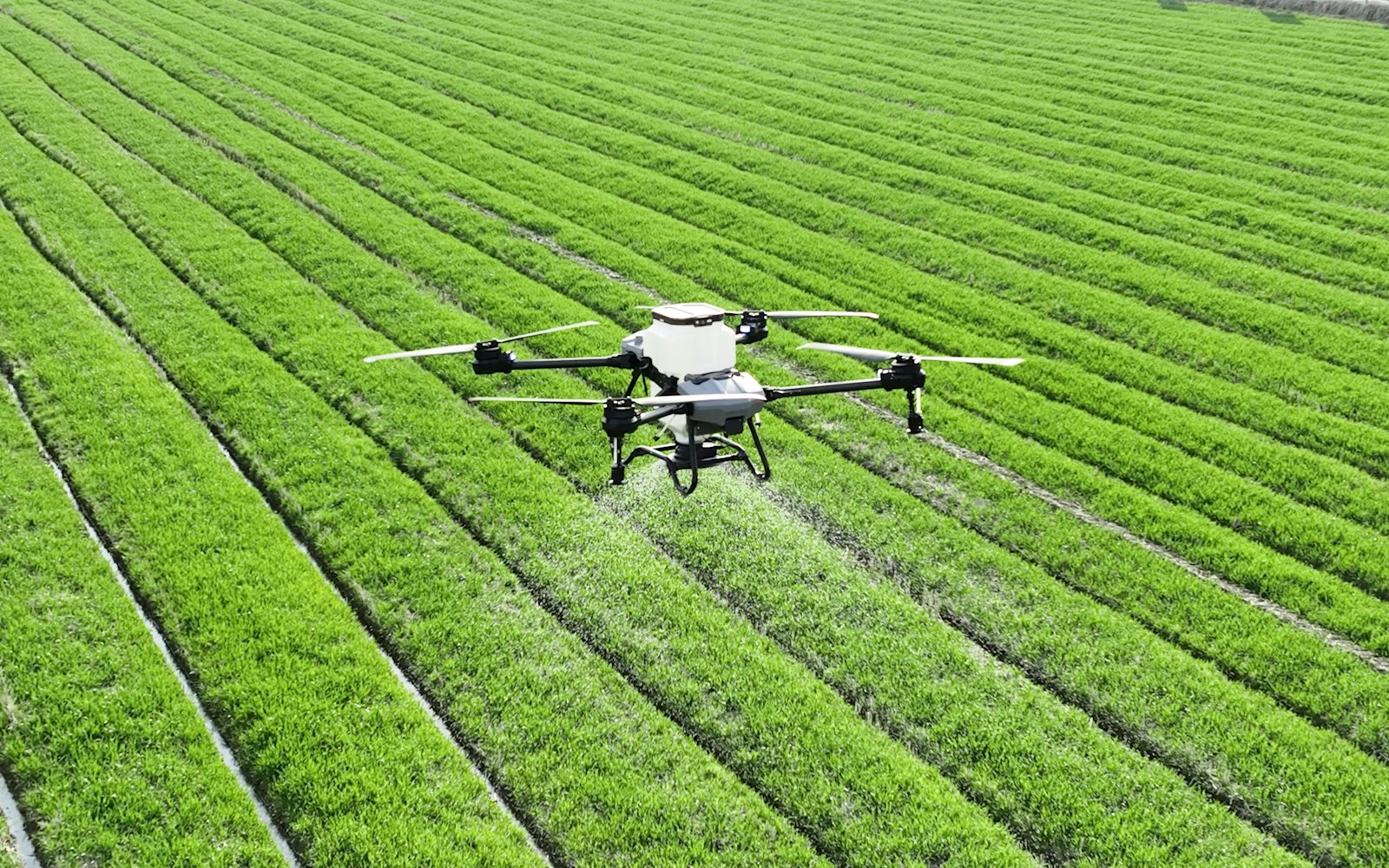 The flight — Aerial Pressure Washing