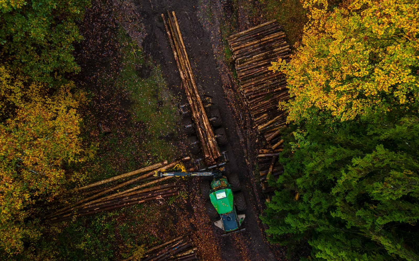 What we capture — Forestry & Timber Drone Surveys
